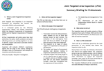 JTAI summary briefing for professionals